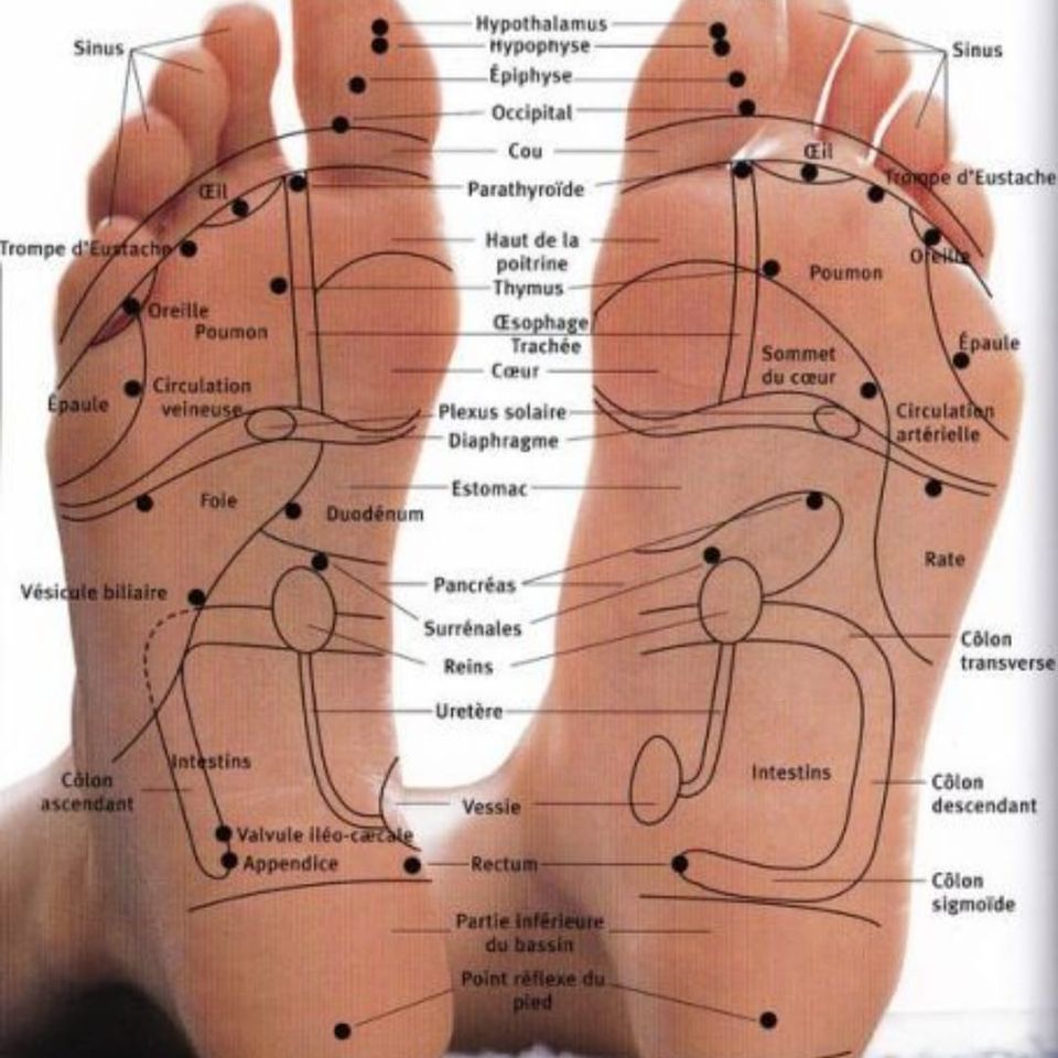 Réflexologie plantaire